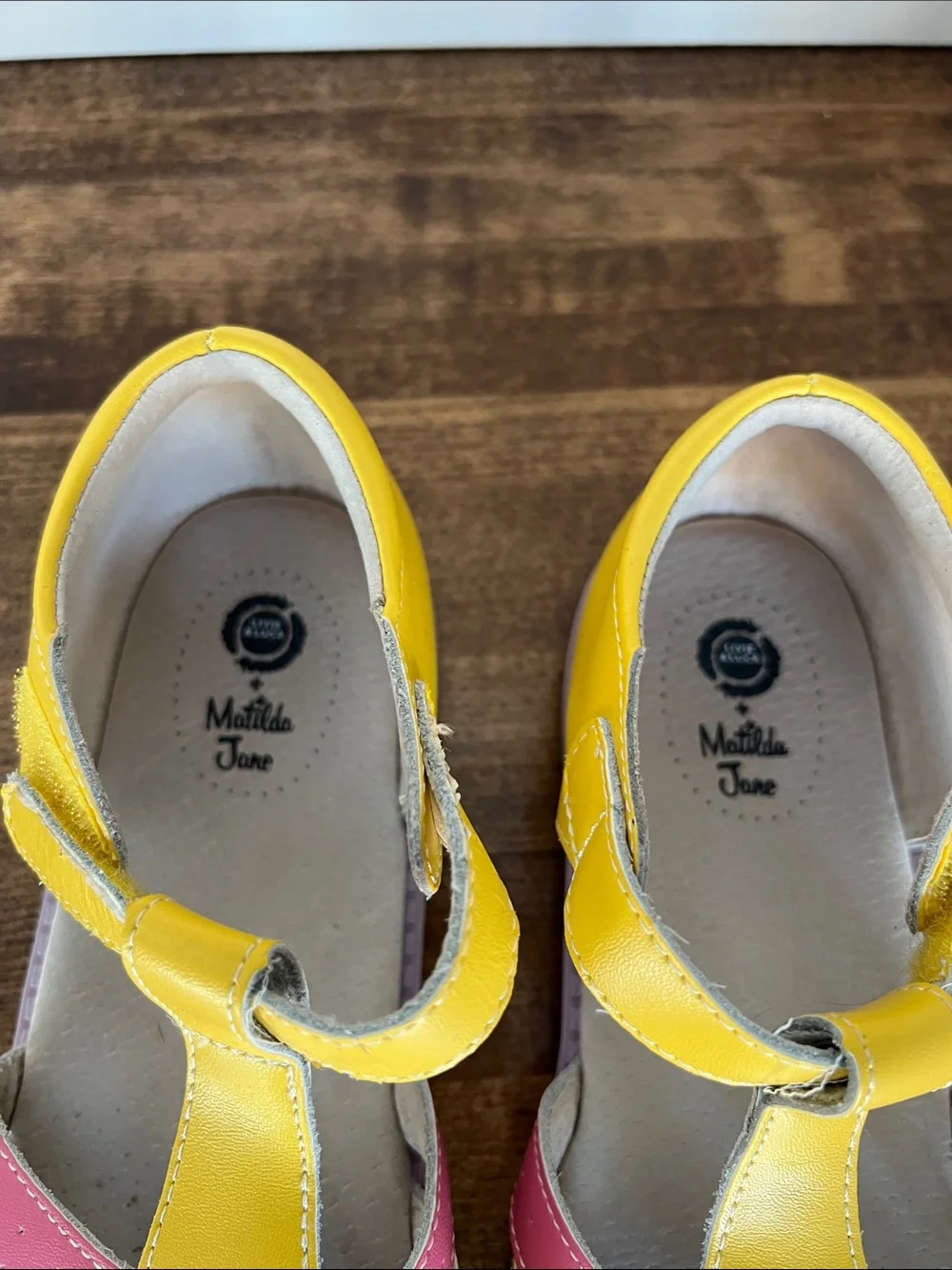 Matilda Jane bright yellow